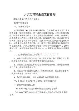 小学实习班主任工作计划Word格式.docx