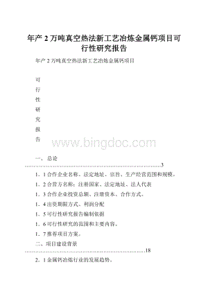 年产2万吨真空热法新工艺冶炼金属钙项目可行性研究报告文档格式.docx