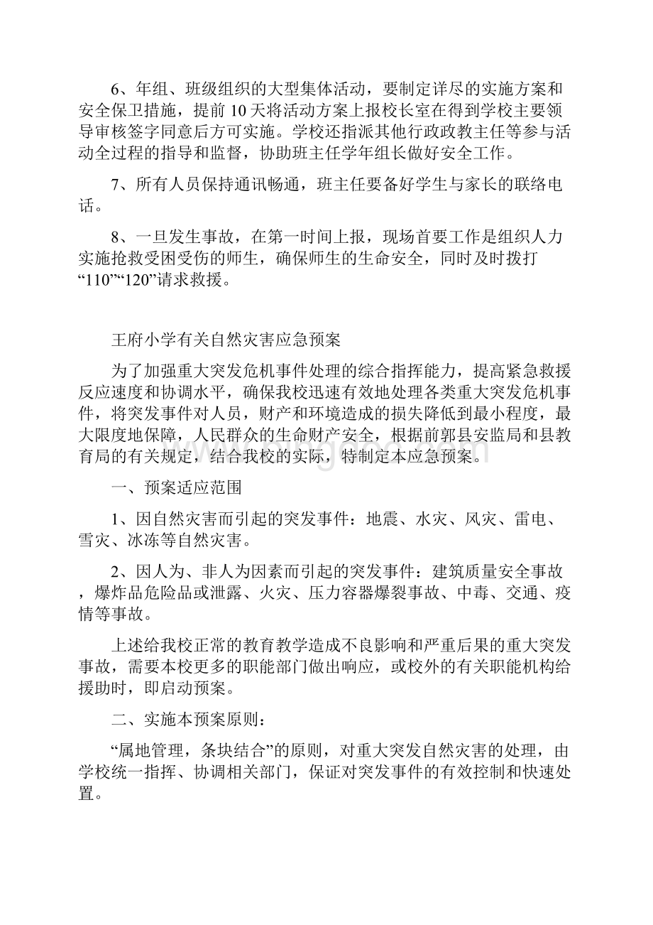 大型活动安全应急预案.docx_第2页