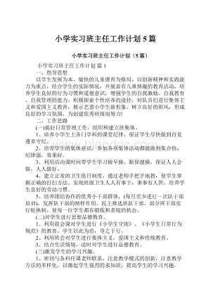 小学实习班主任工作计划5篇.docx