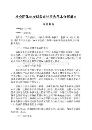 社会团体年度财务审计报告范本分解重点Word文档格式.docx