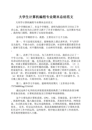 大学生计算机编程专业期末总结范文.docx