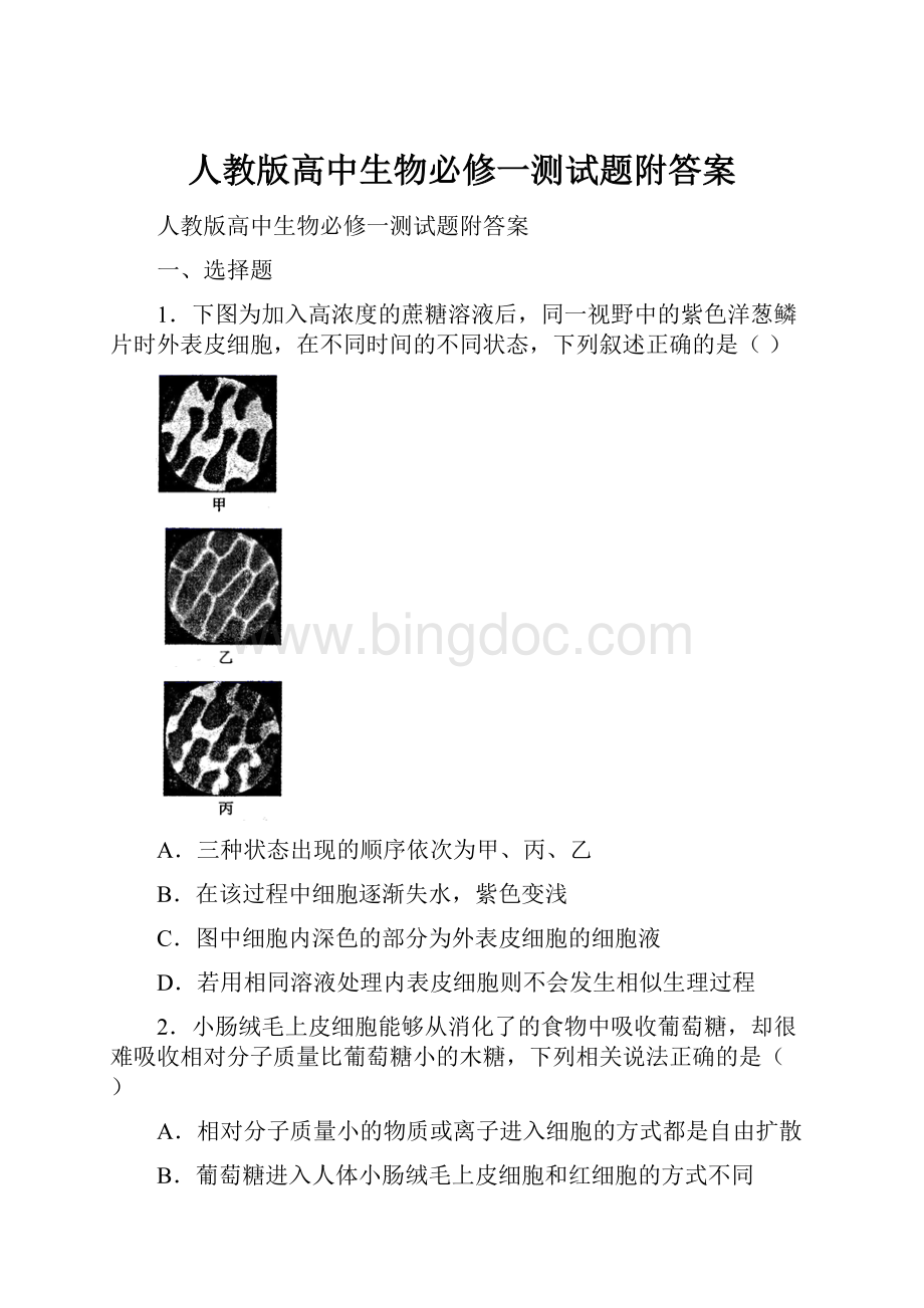 人教版高中生物必修一测试题附答案.docx