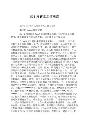 三个月转正工作总结.docx