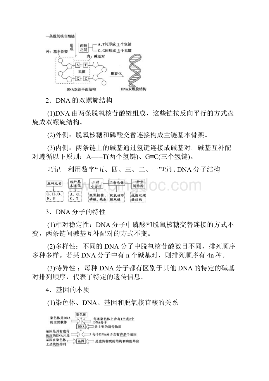 全国版版高考生物一轮复习第6单元遗传的分子基础第2讲DNA分子的结构复制与基因的本质学案.docx_第2页