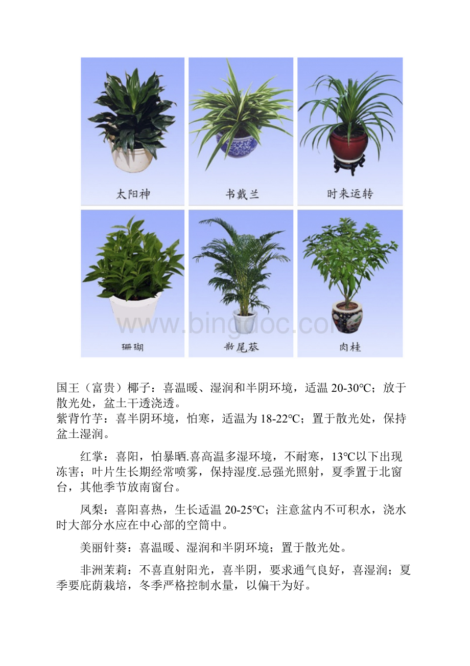 室内植物养护要点.docx_第2页