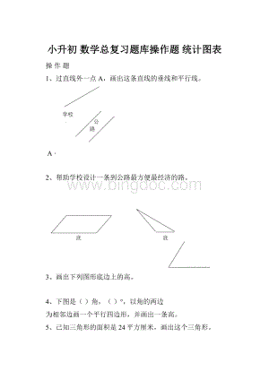 小升初 数学总复习题库操作题 统计图表.docx