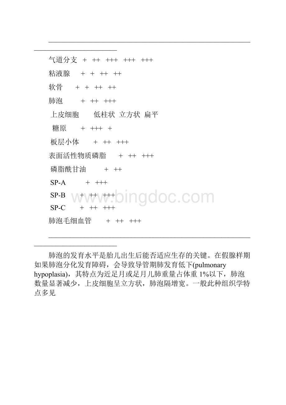 小儿肺发育解剖生理特点05.docx_第2页