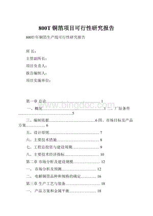 800T铜箔项目可行性研究报告.docx