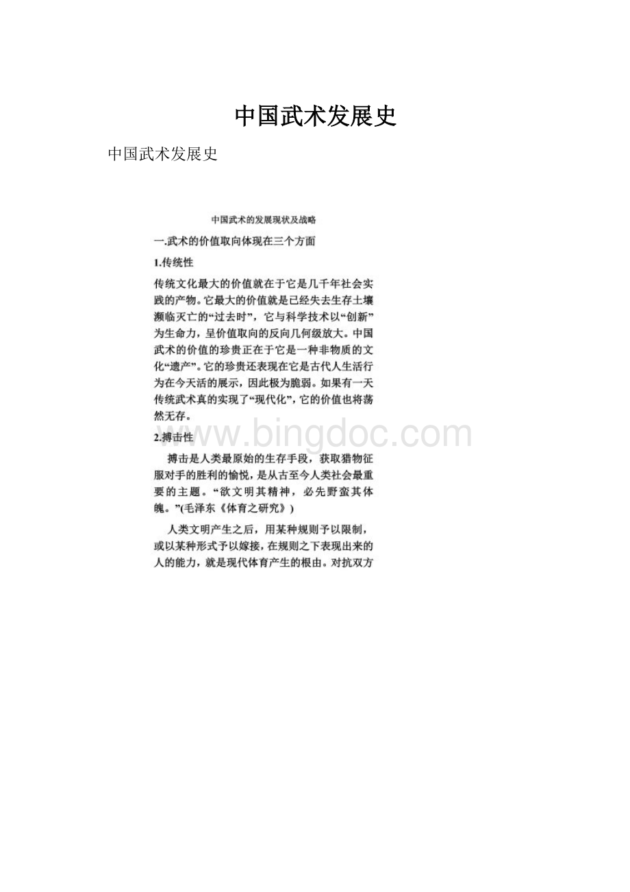 中国武术发展史.docx_第1页