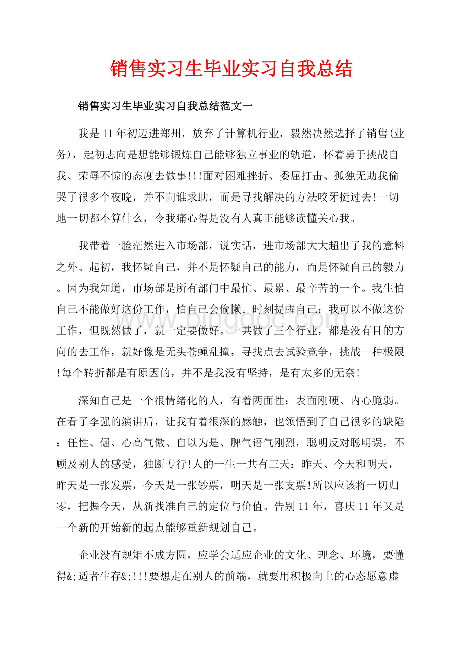 销售实习生毕业实习自我总结_3篇（共11页）7100字.docx