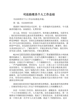 司法助理员个人工作总结.docx