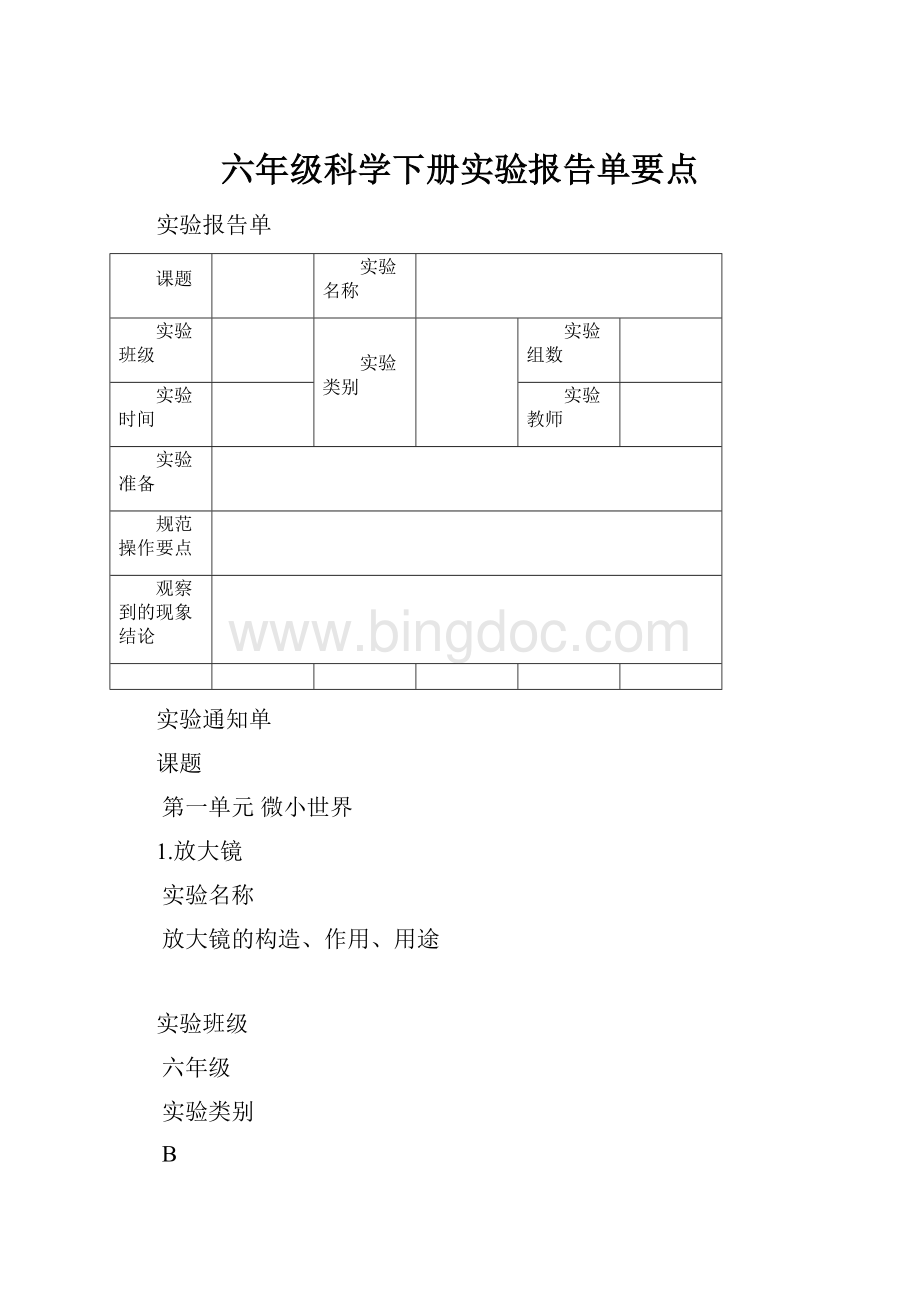 六年级科学下册实验报告单要点.docx_第1页