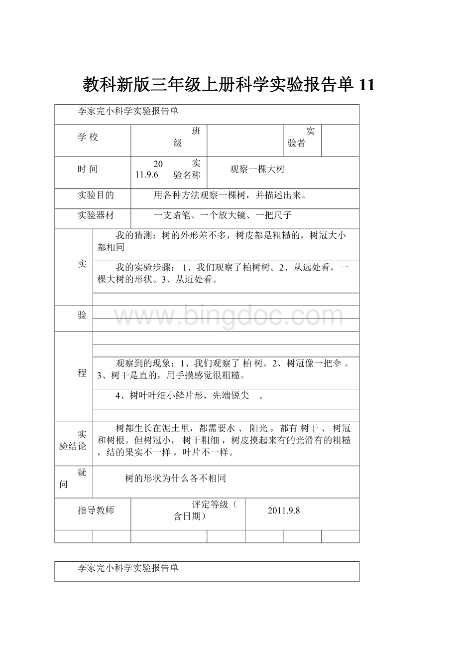 教科新版三年级上册科学实验报告单11.docx_第1页