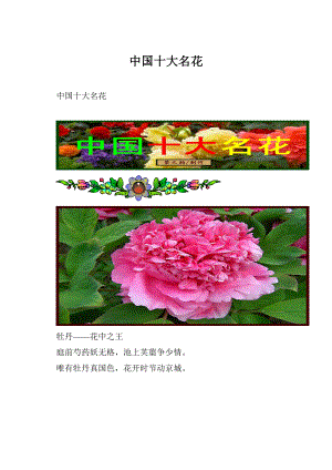 中国十大名花.docx