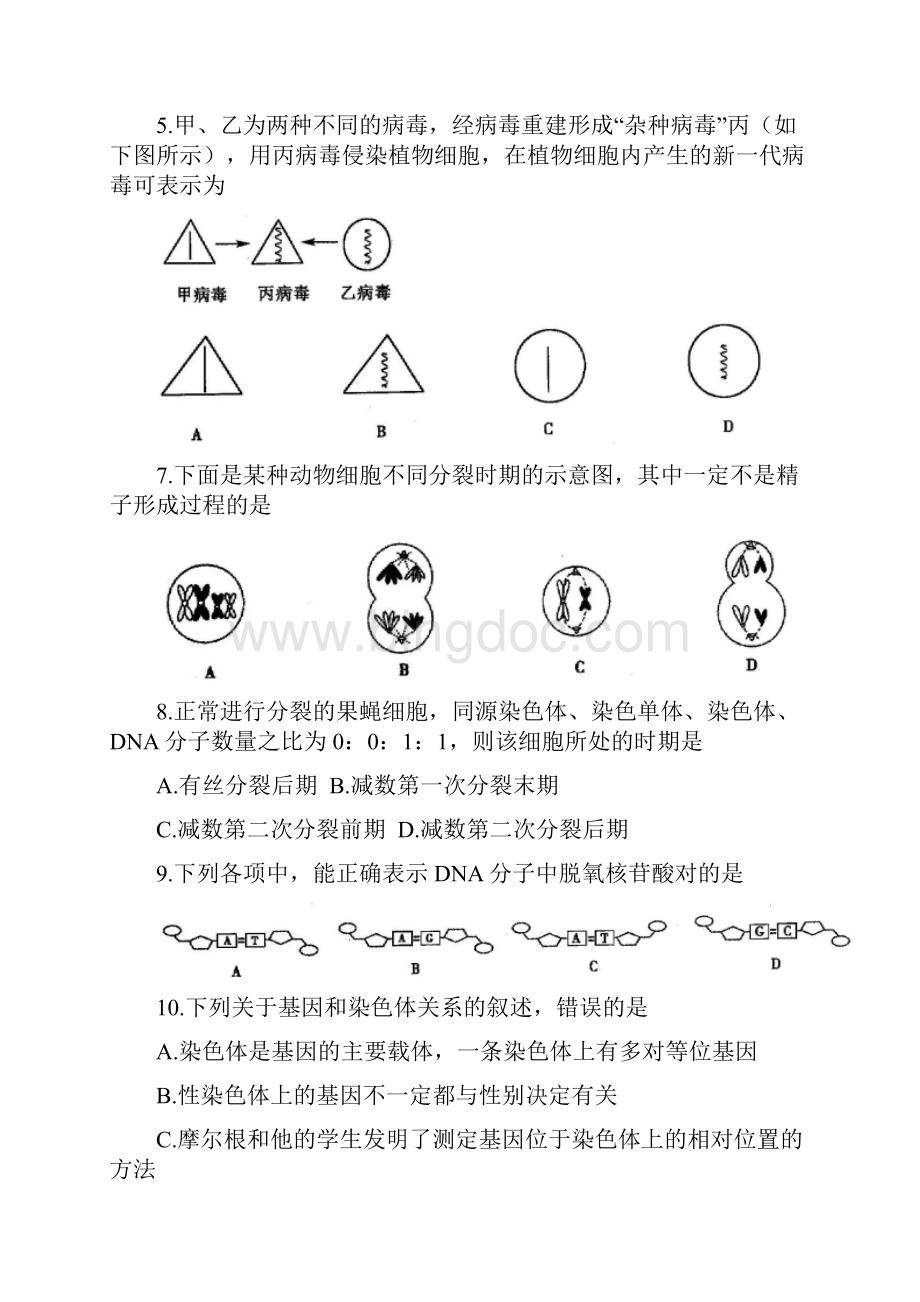 学年高一生物下学期期末考试试题 新人教版.docx_第2页