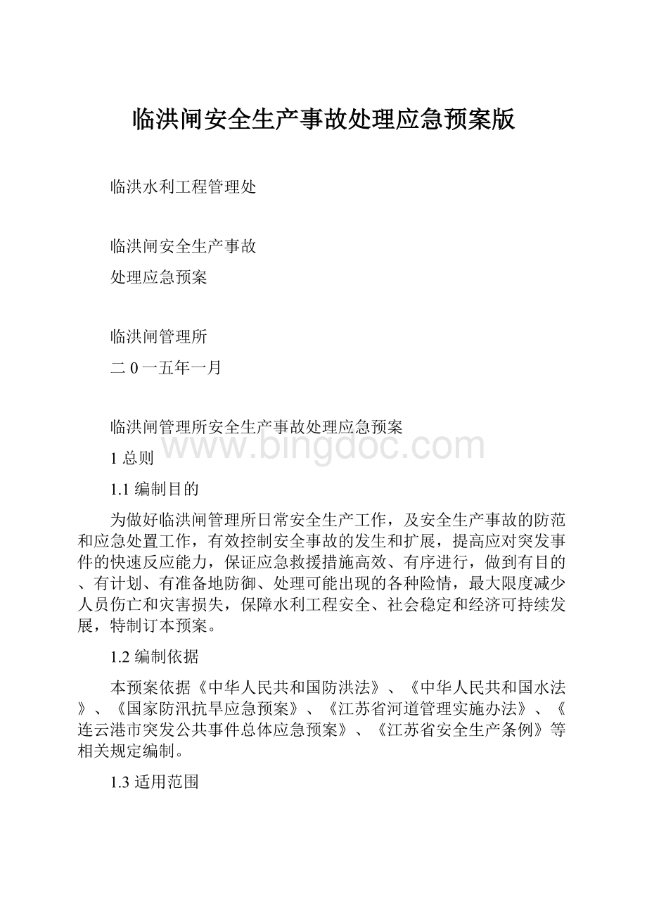 临洪闸安全生产事故处理应急预案版.docx