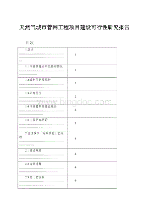 天然气城市管网工程项目建设可行性研究报告.docx