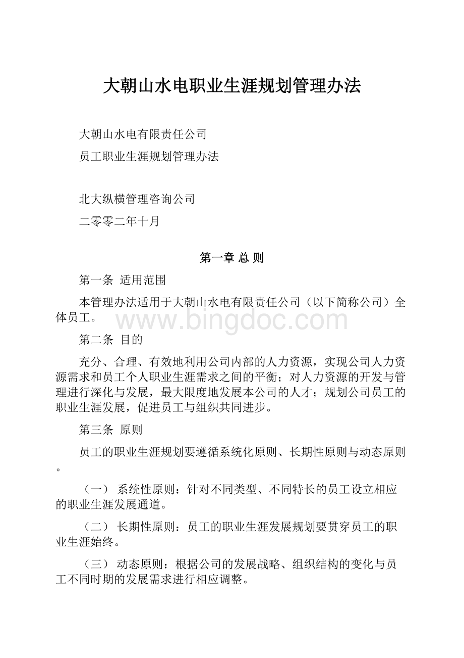 大朝山水电职业生涯规划管理办法.docx_第1页