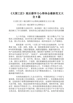 《大国工匠》观后感学习心得体会最新范文大全5篇.docx