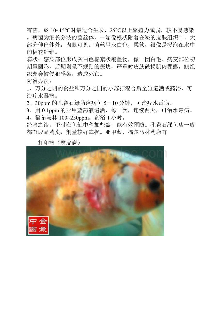 图解常见金鱼疾病的防治.docx_第3页
