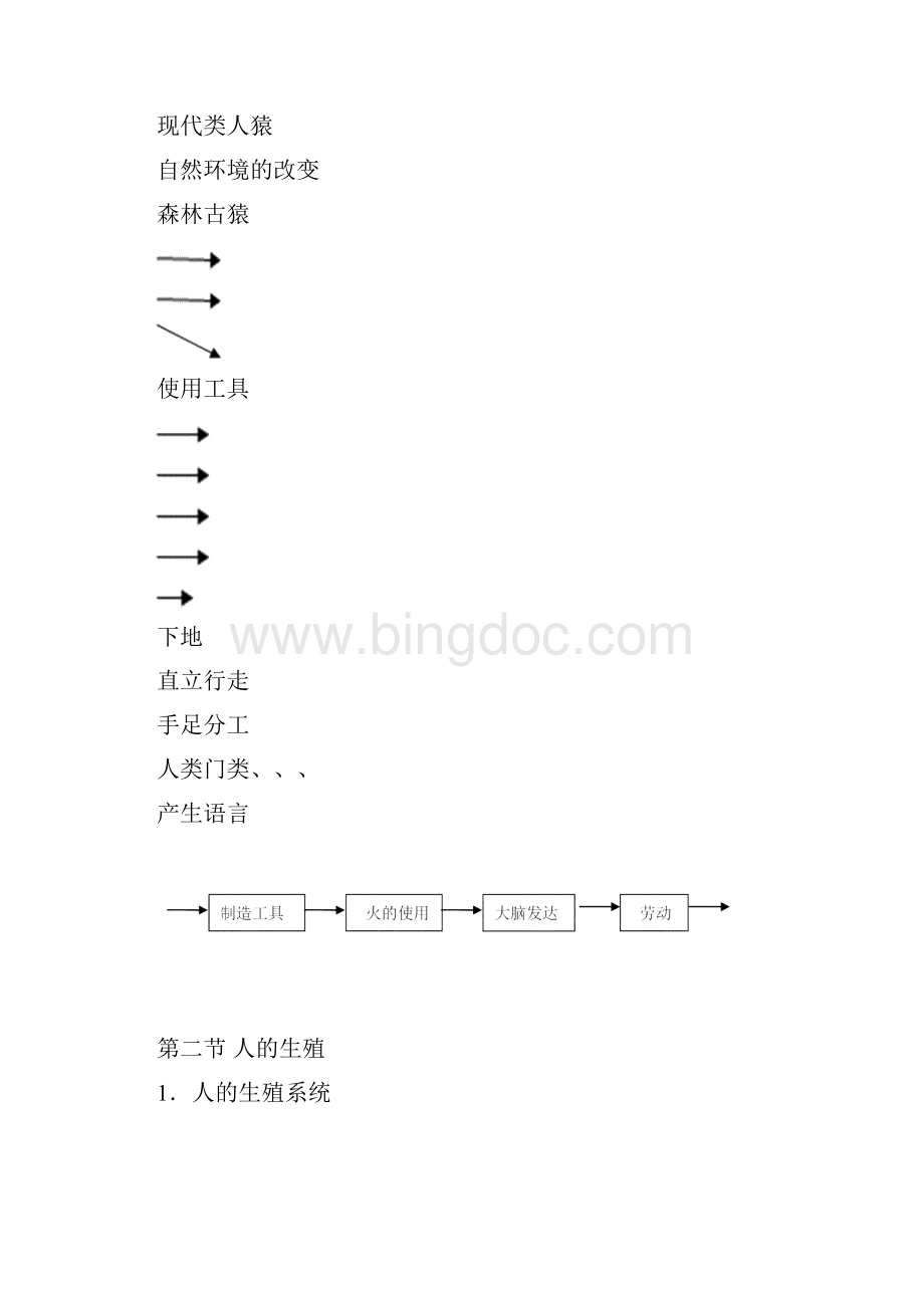 七年级下生物总复习笔记.docx_第2页