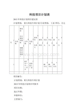 科技项目计划表.docx