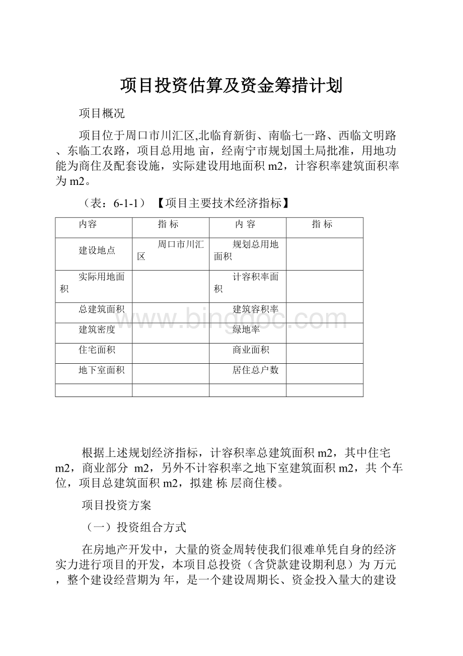 项目投资估算及资金筹措计划.docx