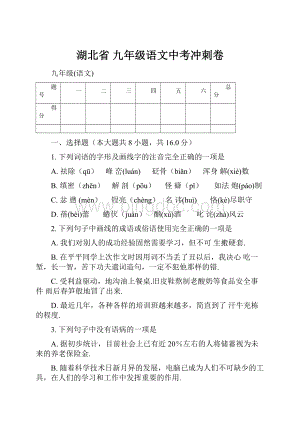 湖北省 九年级语文中考冲刺卷.docx