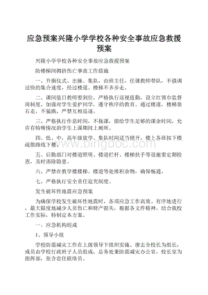 应急预案兴隆小学学校各种安全事故应急救援预案.docx