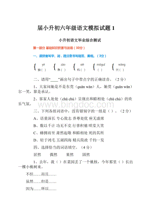 届小升初六年级语文模拟试题1.docx