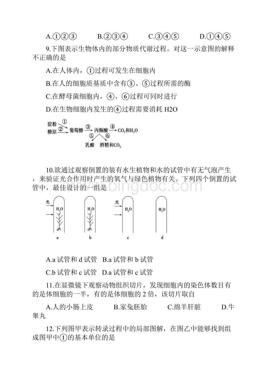 1516学年度高二普通高中学业水平测试生物试题四附答案.docx_第3页