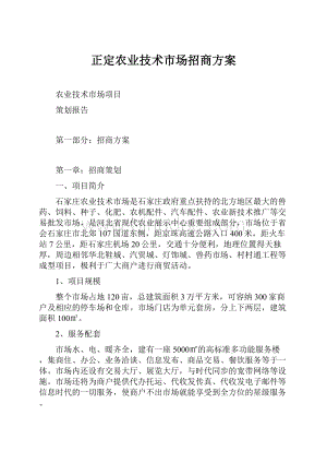 正定农业技术市场招商方案.docx