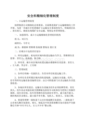 安全科精细化管理制度.docx