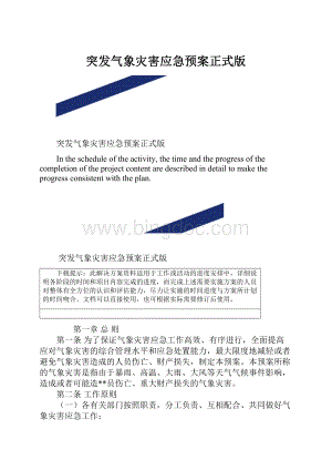 突发气象灾害应急预案正式版.docx