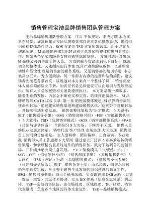 销售管理宝洁品牌销售团队管理方案.docx