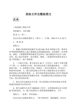 投标文件完整版图文.docx