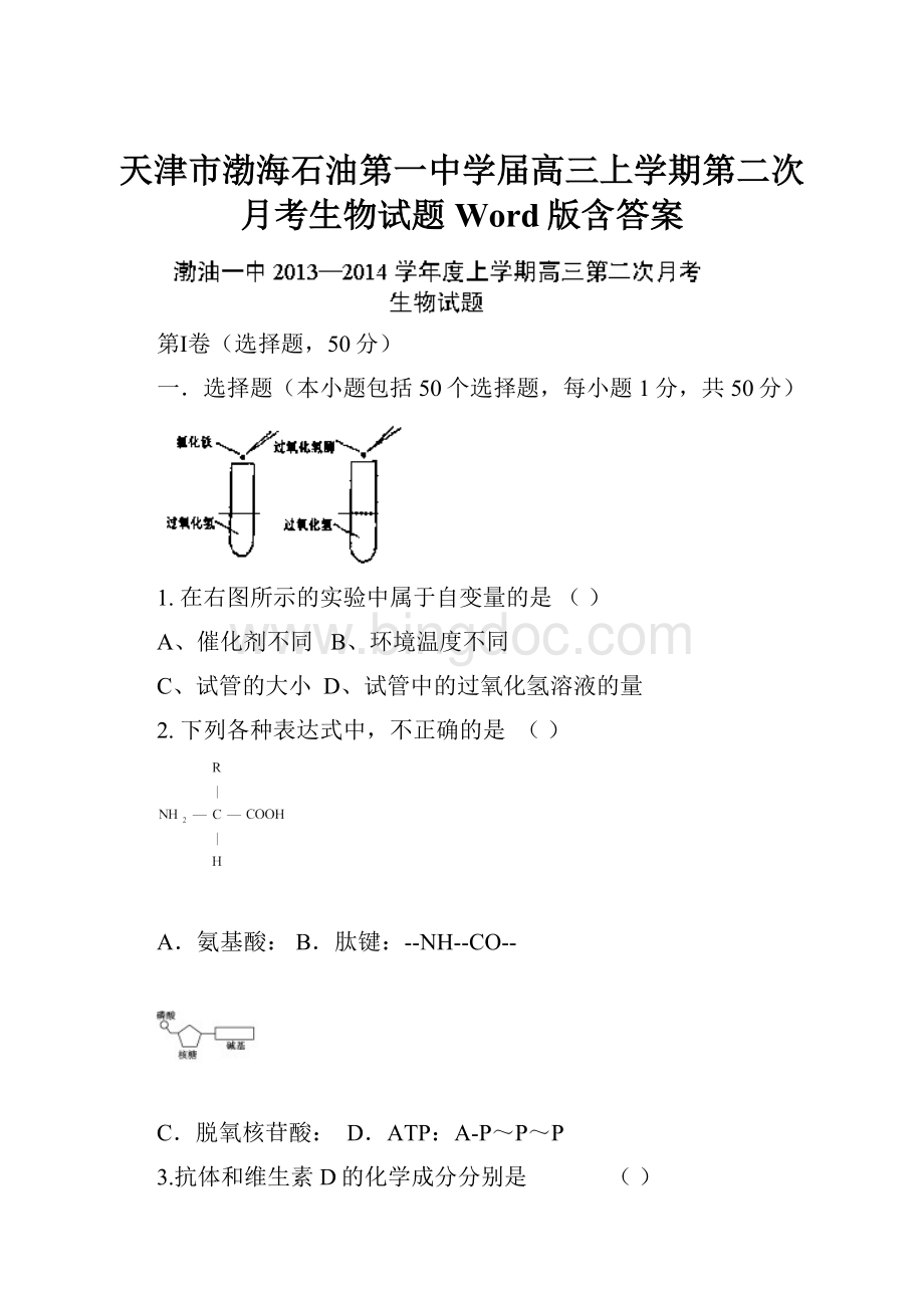 天津市渤海石油第一中学届高三上学期第二次月考生物试题 Word版含答案.docx