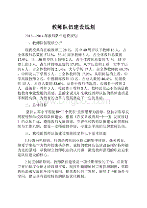 教师队伍建设规划.docx