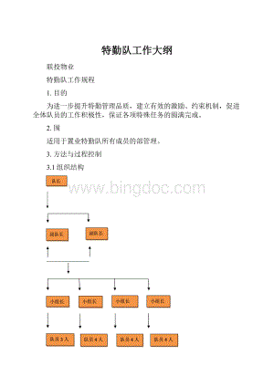 特勤队工作大纲.docx