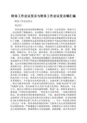 财务工作会议发言与财务工作会议发言稿汇编.docx