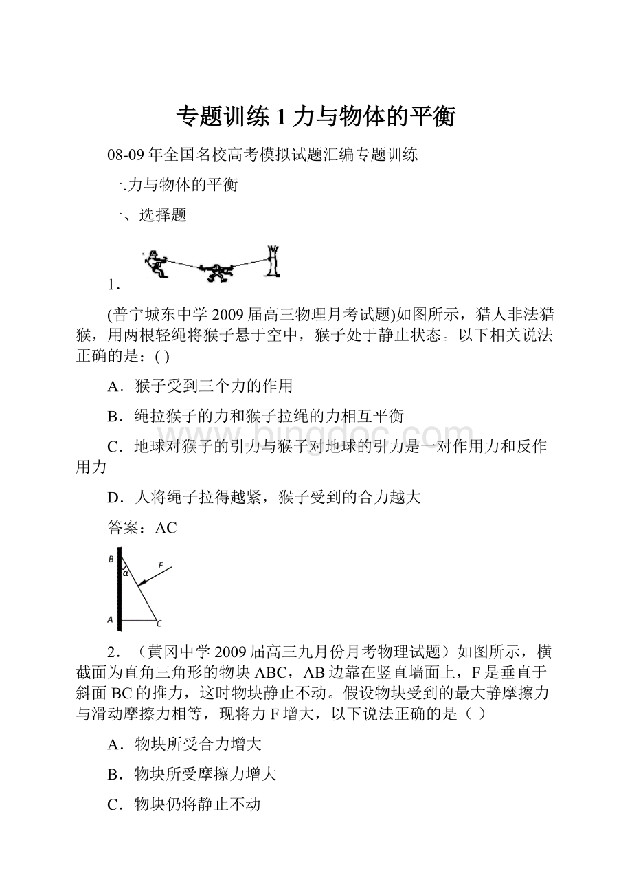 专题训练1力与物体的平衡.docx