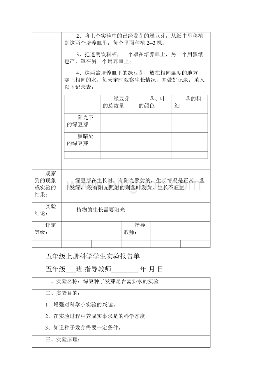 教科版五年级上册科学实验报告单66819.docx_第3页