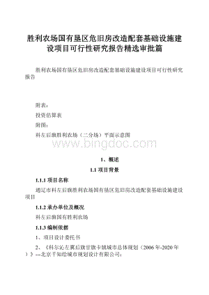 胜利农场国有垦区危旧房改造配套基础设施建设项目可行性研究报告精选审批篇.docx