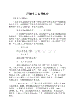 环境实习心得体会.docx