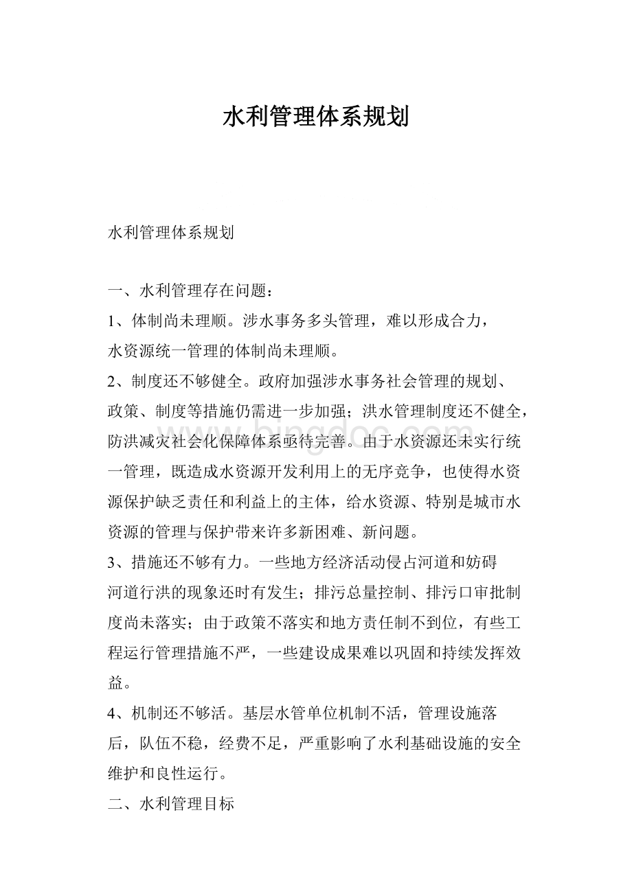 水利管理体系规划.docx