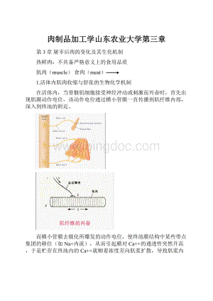 肉制品加工学山东农业大学第三章.docx