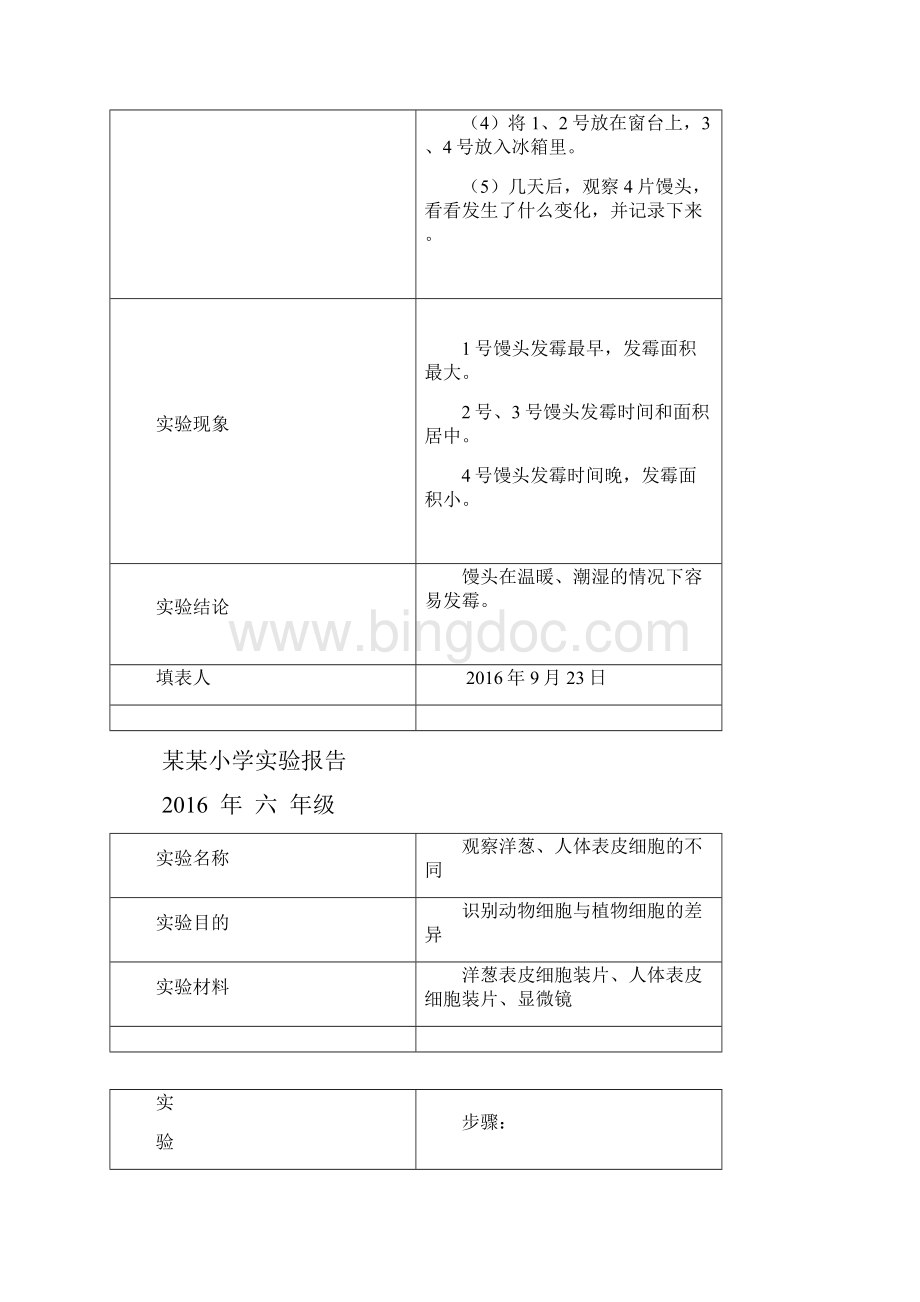 苏教版科学六年级上册实验报告单docx.docx_第3页