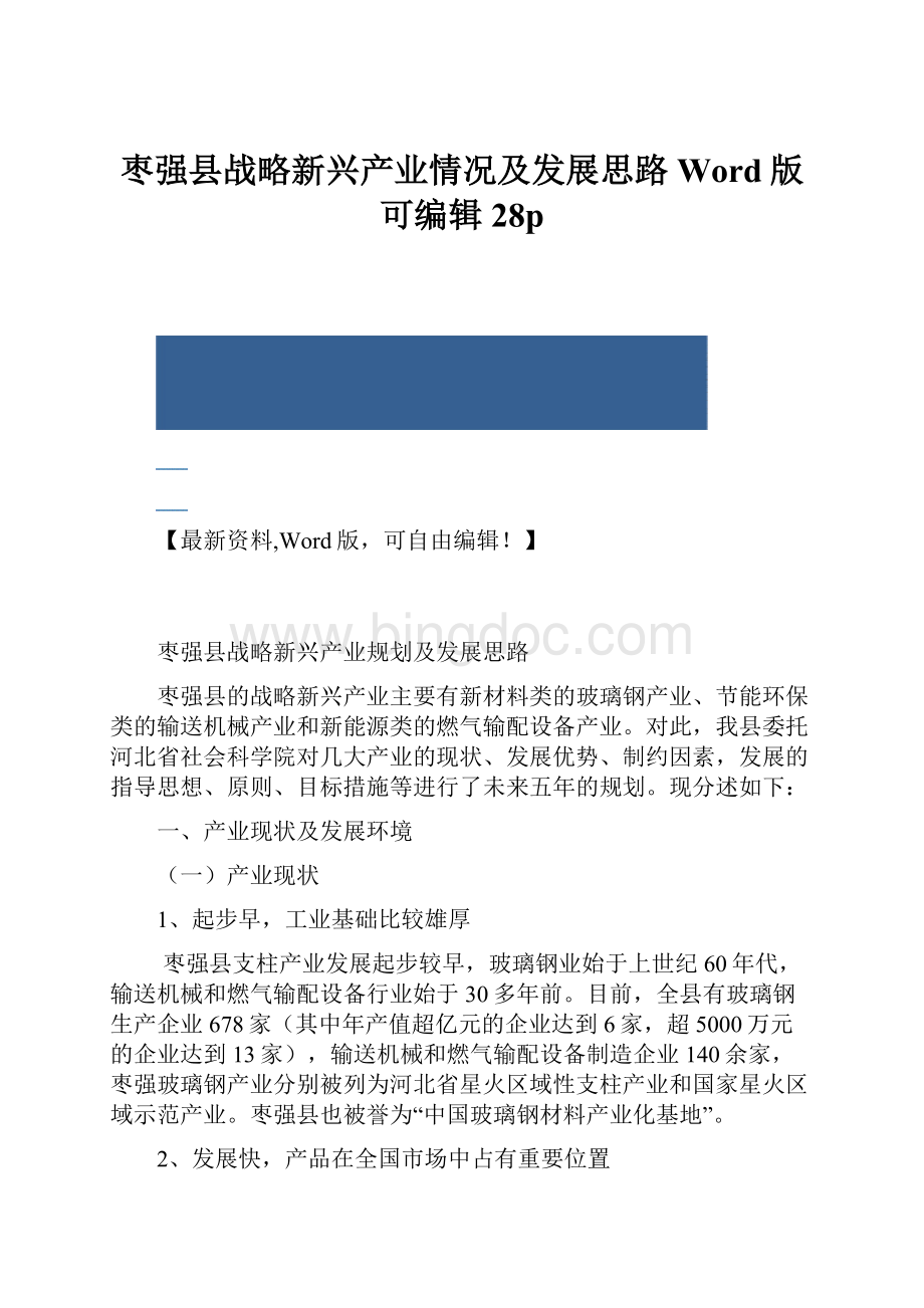 枣强县战略新兴产业情况及发展思路Word版 可编辑28p.docx