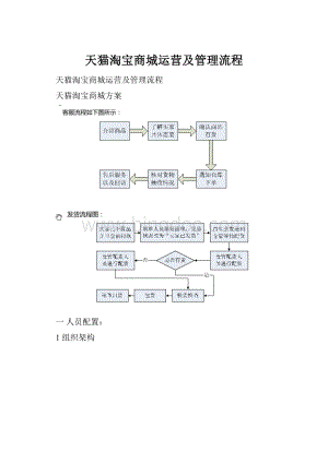 天猫淘宝商城运营及管理流程.docx